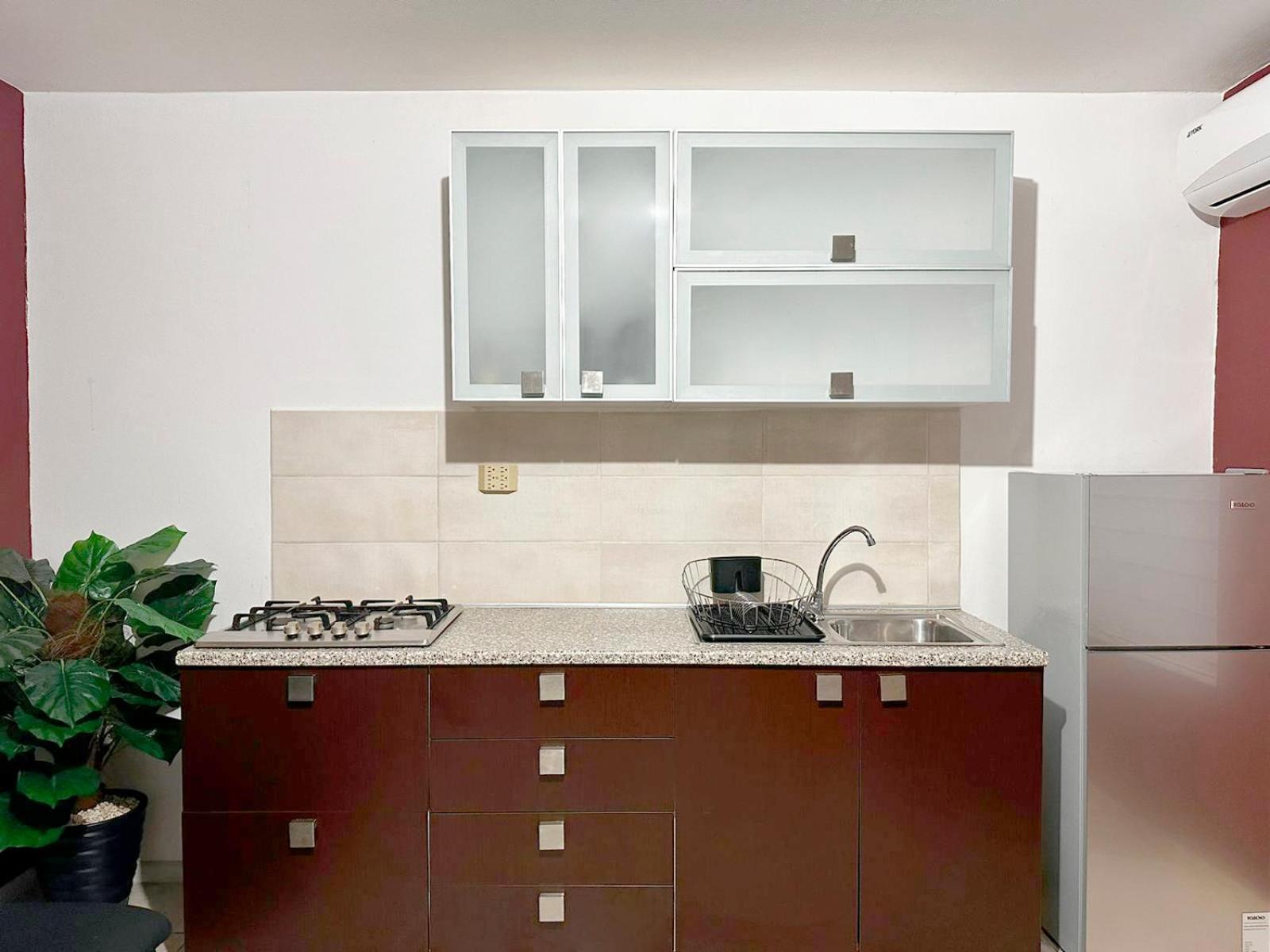 Ladybugs Apartments شاطئ بالم المظهر الخارجي الصورة