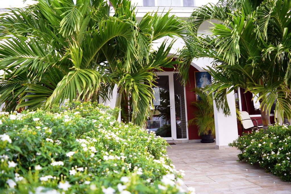 Ladybugs Apartments شاطئ بالم المظهر الخارجي الصورة